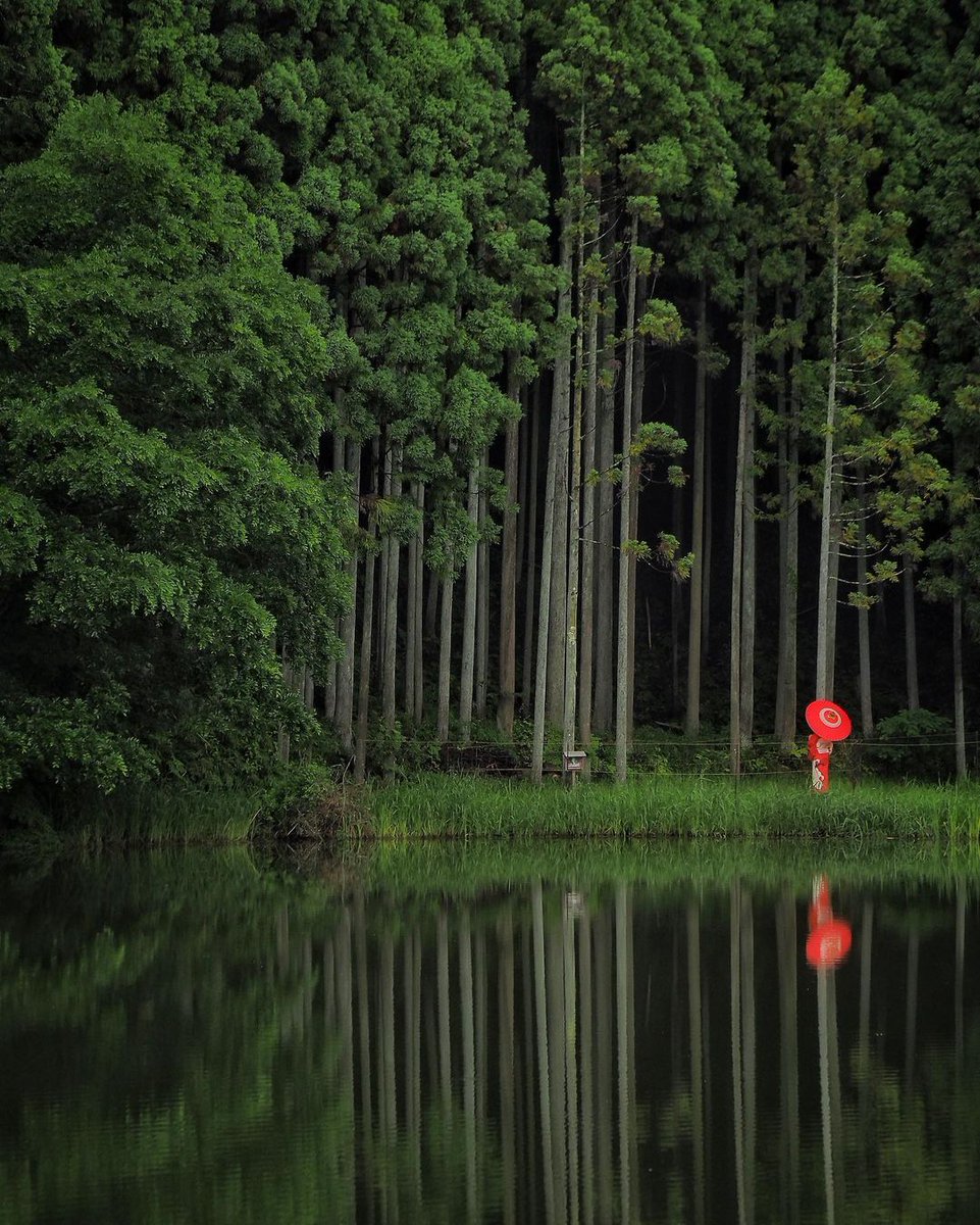 «In certi momenti della nostra vita ci pare di poter rischiare, o perlomeno di poter puntare molto sul presente. Un presente predisposto a lungo, un tempo che fino a quel momento ci è sembrato sempre passasse un po’ oltre il punto in cui ci trovavamo. 1/