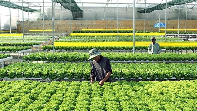 WorldlyHQ's tweet photo. Happy Sunday, If you are excited about the future of farming, please like and retweet! https://t.co/VeQ87V7Puc