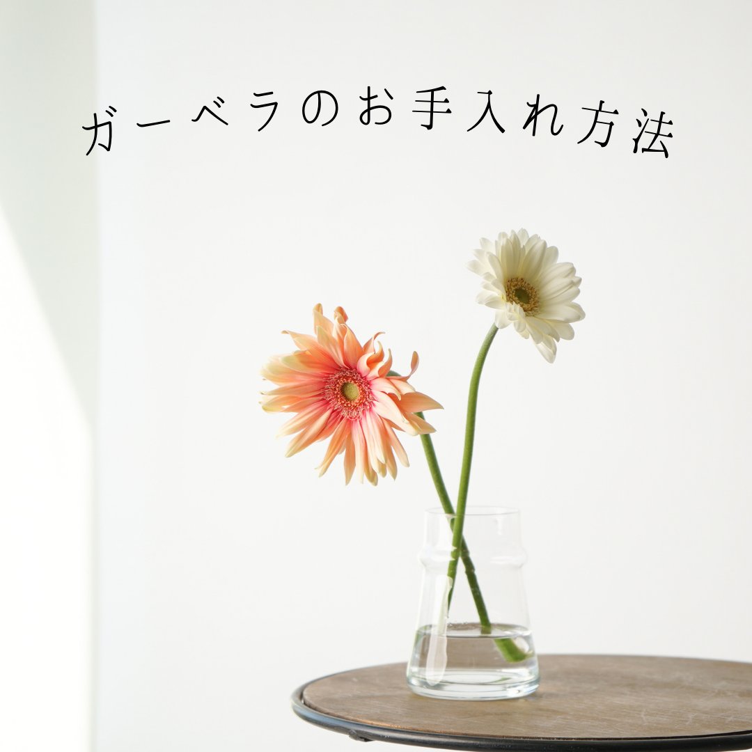 Tweets With Replies By Hitohana ひとはな お花の定期便 花と植物のオンラインストア 母の日ギフト予約受付中 Hitohana Tokyo Twitter
