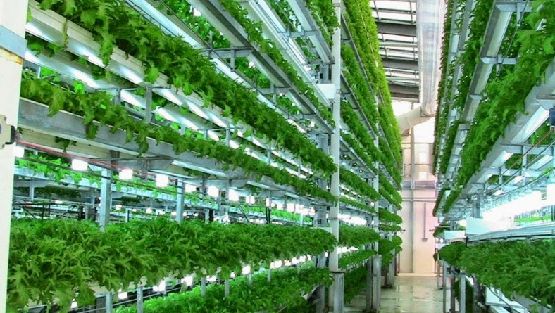 WorldlyHQ's tweet photo. Happy Sunday, If you are excited about the future of farming, please like and retweet! https://t.co/VeQ87V7Puc