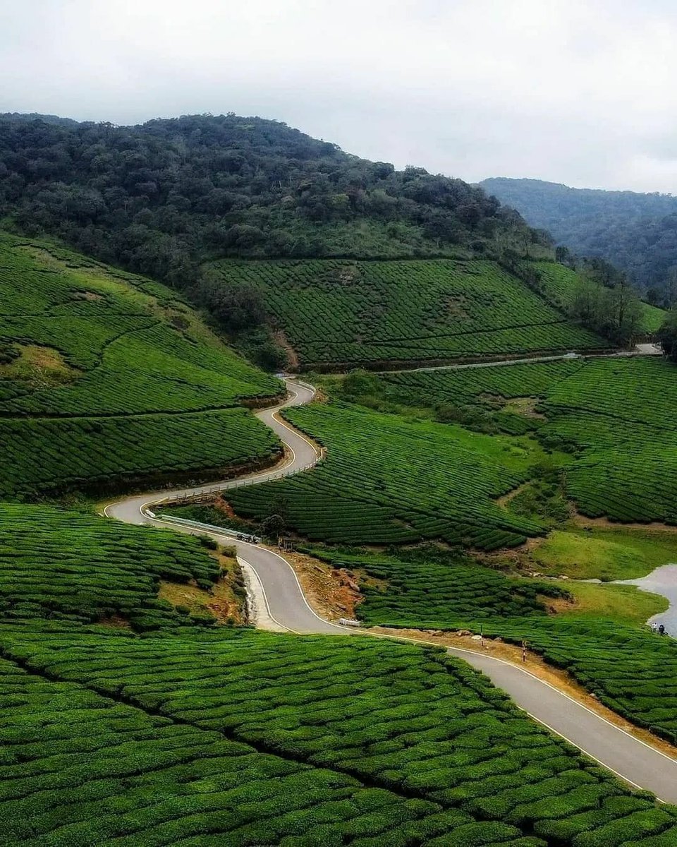 curevisit's tweet photo. Meghamalai is an #unexplored #paradise in the Western #ghats and is very little known even to the people of #Tamilnadu.

#curevisit #MedicalTourism #IncredibleIndia #DekhoApnaDesh #tourism #naturephotography #naturelovers #trip #roadtrip #india #nature #landscape #traditions https://t.co/Aj5bFZuFQQ