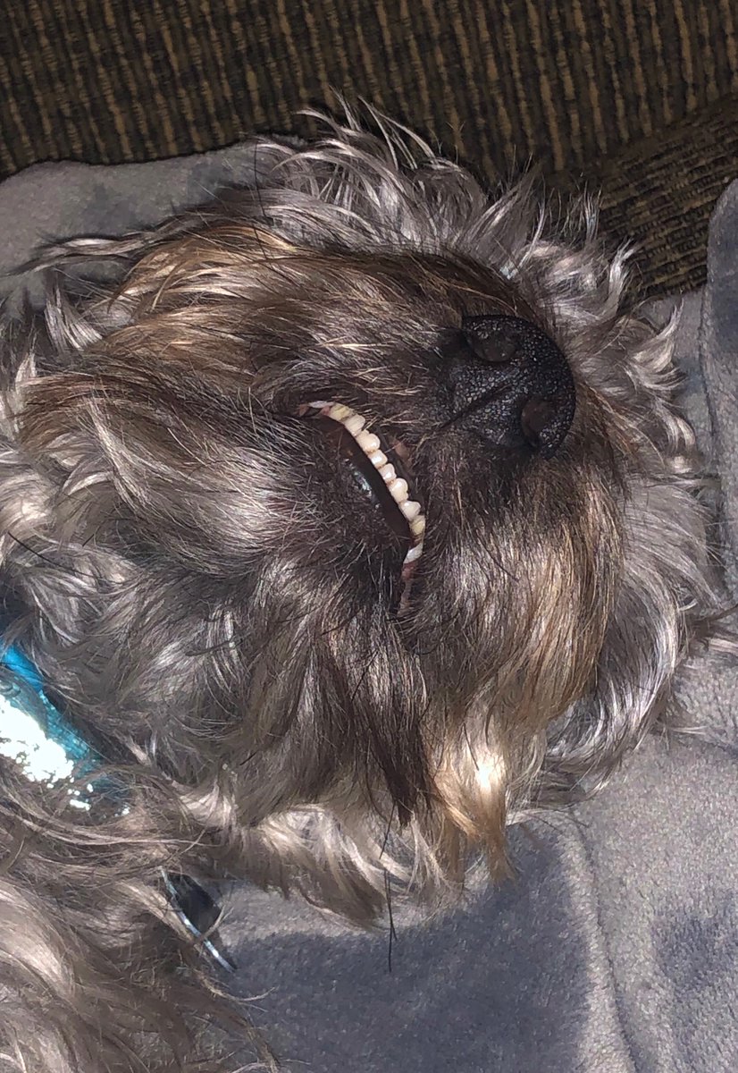 Mitchhit234's tweet photo. Test tweet for Corgle https://t.co/WorZ0pMAHm #pickhacks2022 https://t.co/NISiJhPR0t