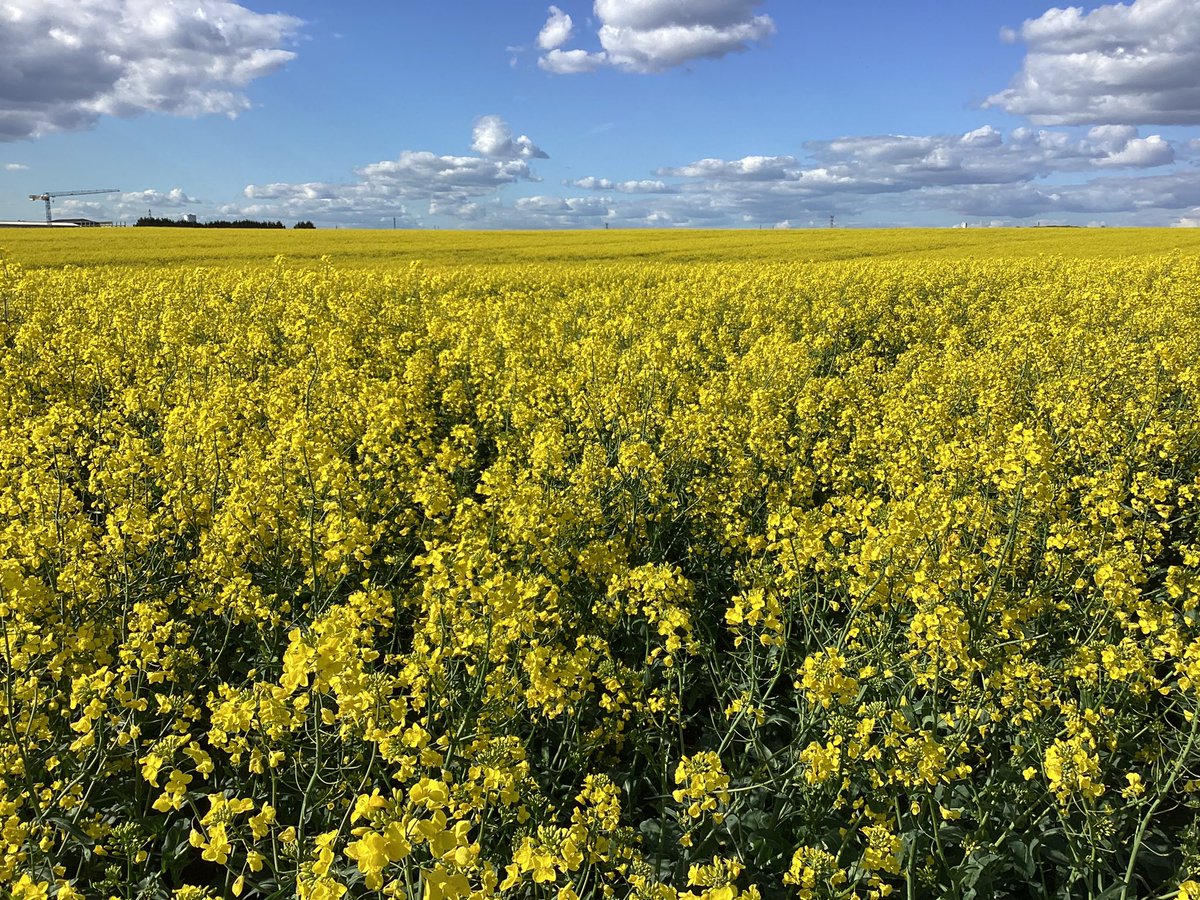 MITARD Bertrand tweet media