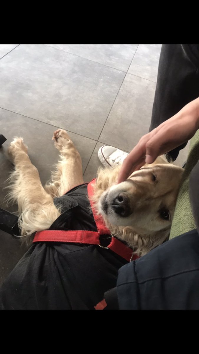 koca dötlü 💖🥺