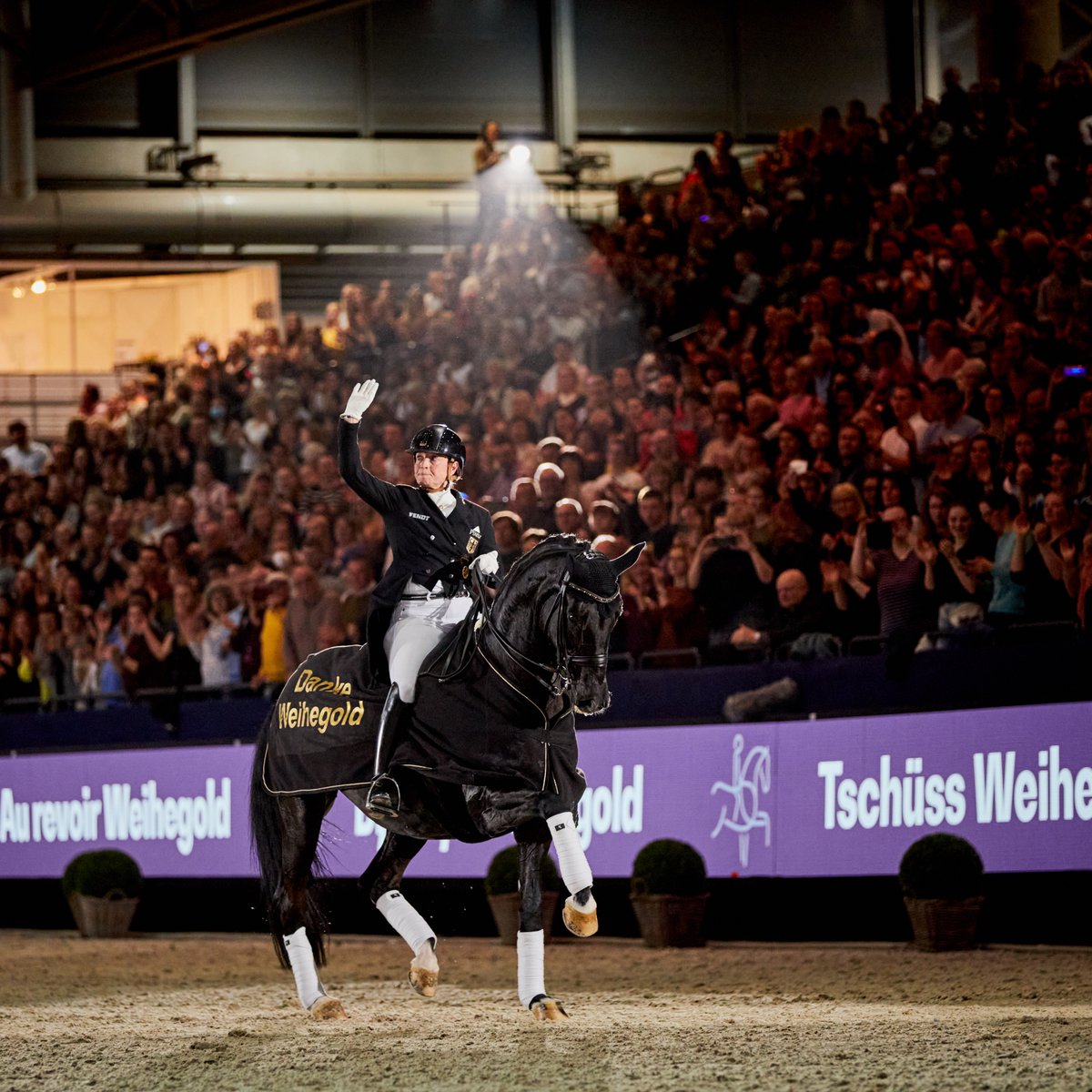 The FEI tweet media