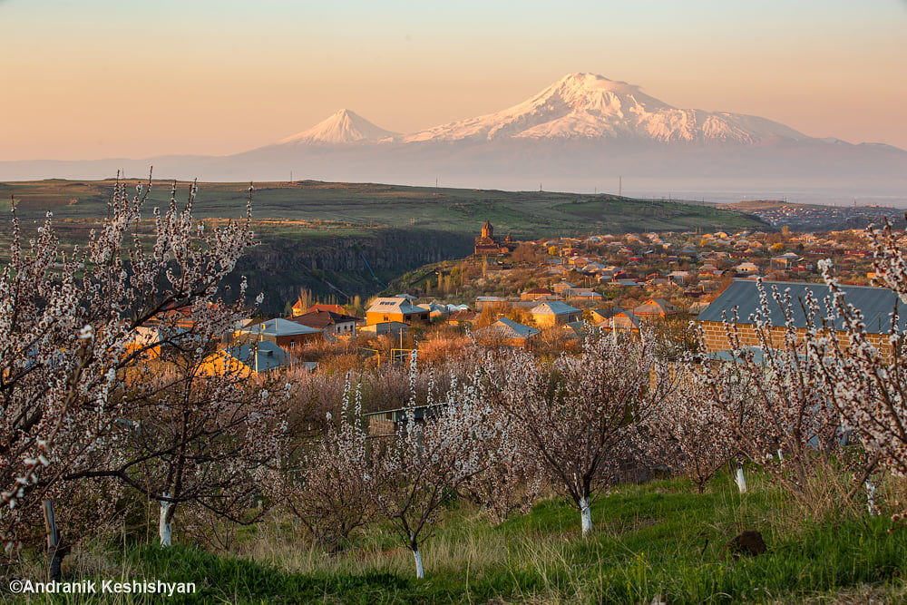 enjoyarmenia's tweet image. Morning view #Armenia #Ararat
Photo credit: Andranik Keshishyan