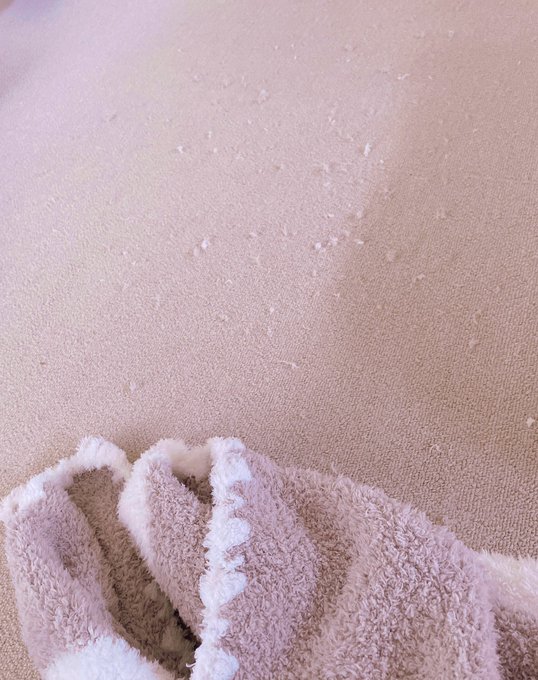 新しいブランケットをボロボロにさせていくのがチャチャさんのお仕事です。🐶 それを片付けるのが私の仕事です🤣 https://t.co/7N52Qvb49T<a href="/tag/ps4share"class="tags"><span>#ps4share</span></a>