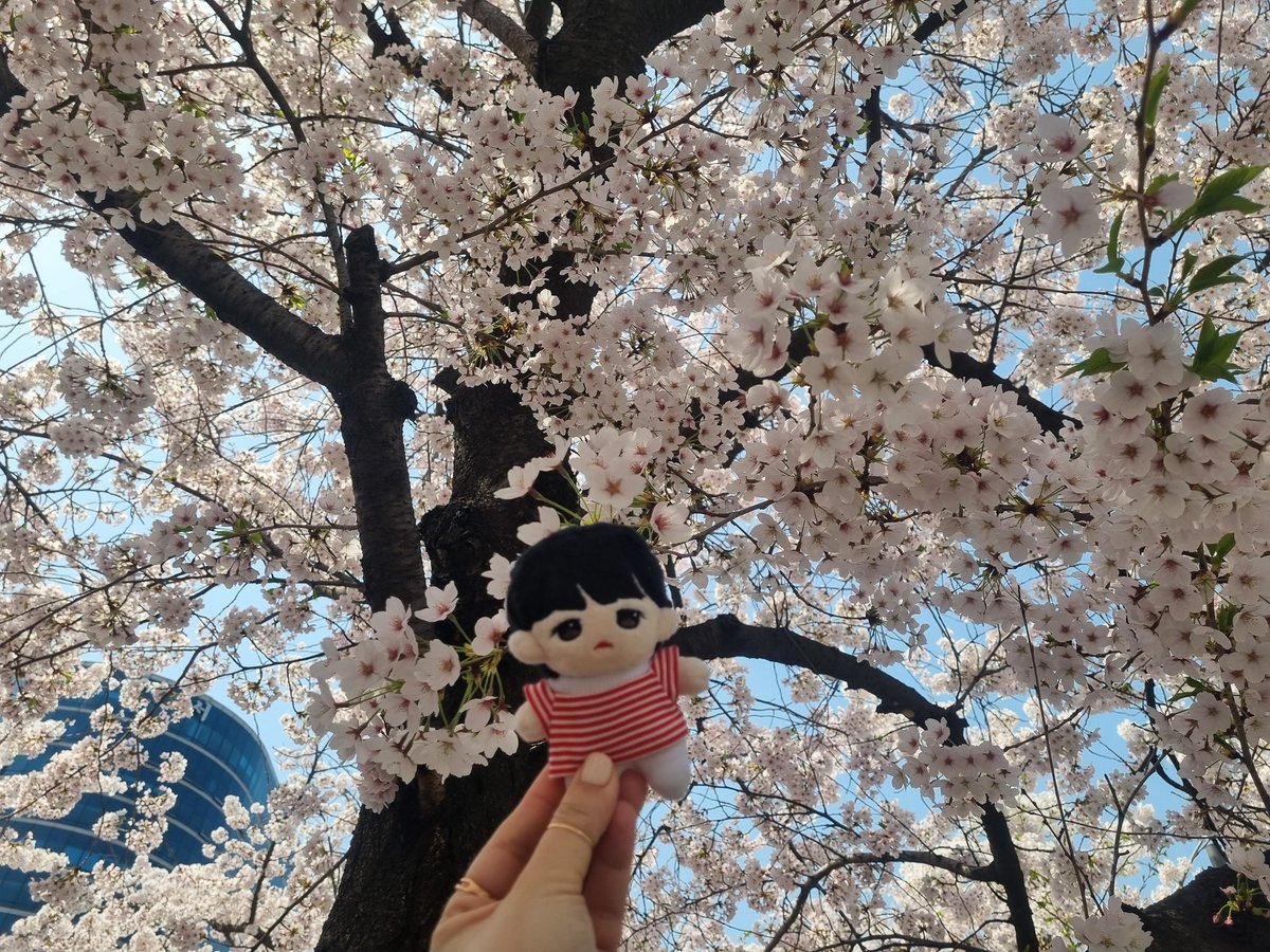 20dolls's tweet photo. 오랜만에 외출! https://t.co/jTRzkNDV0h