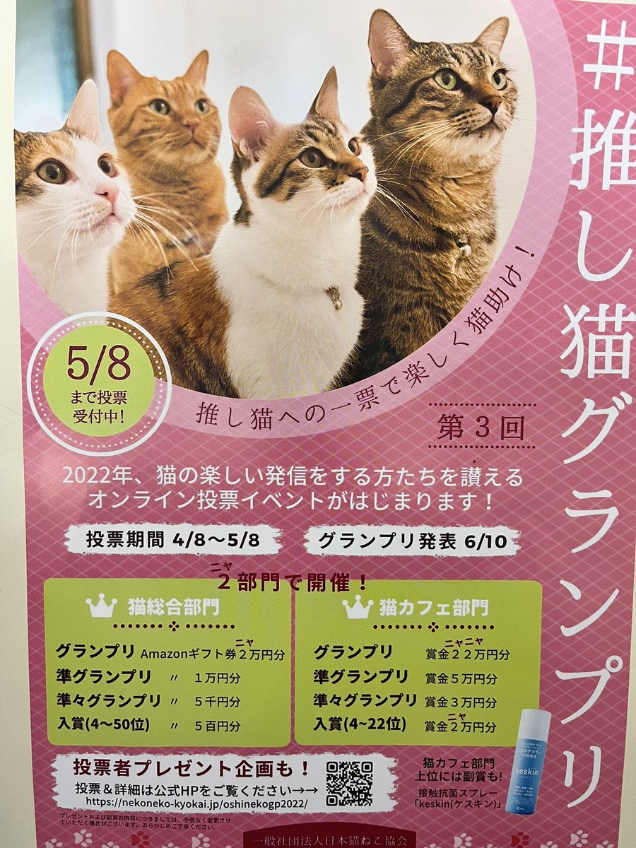 第3回推し猫グランプリ‼️
5/8まで投票できるみたいです(*´꒳`*)
宜しくお願いします🥺🥺

#ブルーキャットカフェ #bluecatcafe #問屋町 #猫 #猫カフェ　#推し猫グランプリ2022