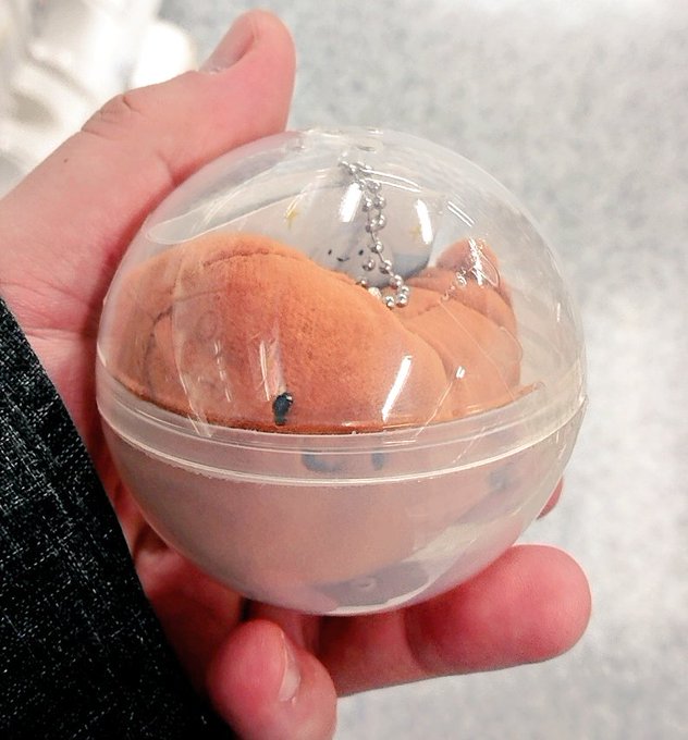 一発目でシークレット一本グソ出てきて腹かかえて笑ってる 