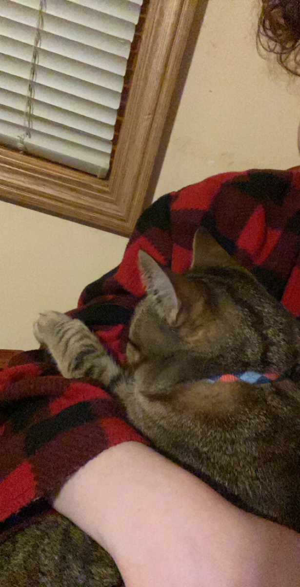 ooc: LOOK AT MY SON! 💙💙💙