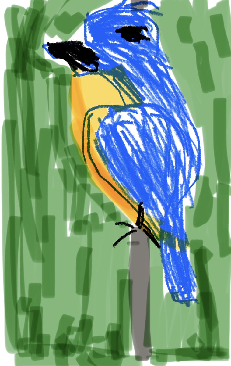 June23689943's tweet photo. New Bird Species! https://t.co/DWIpPhYNev