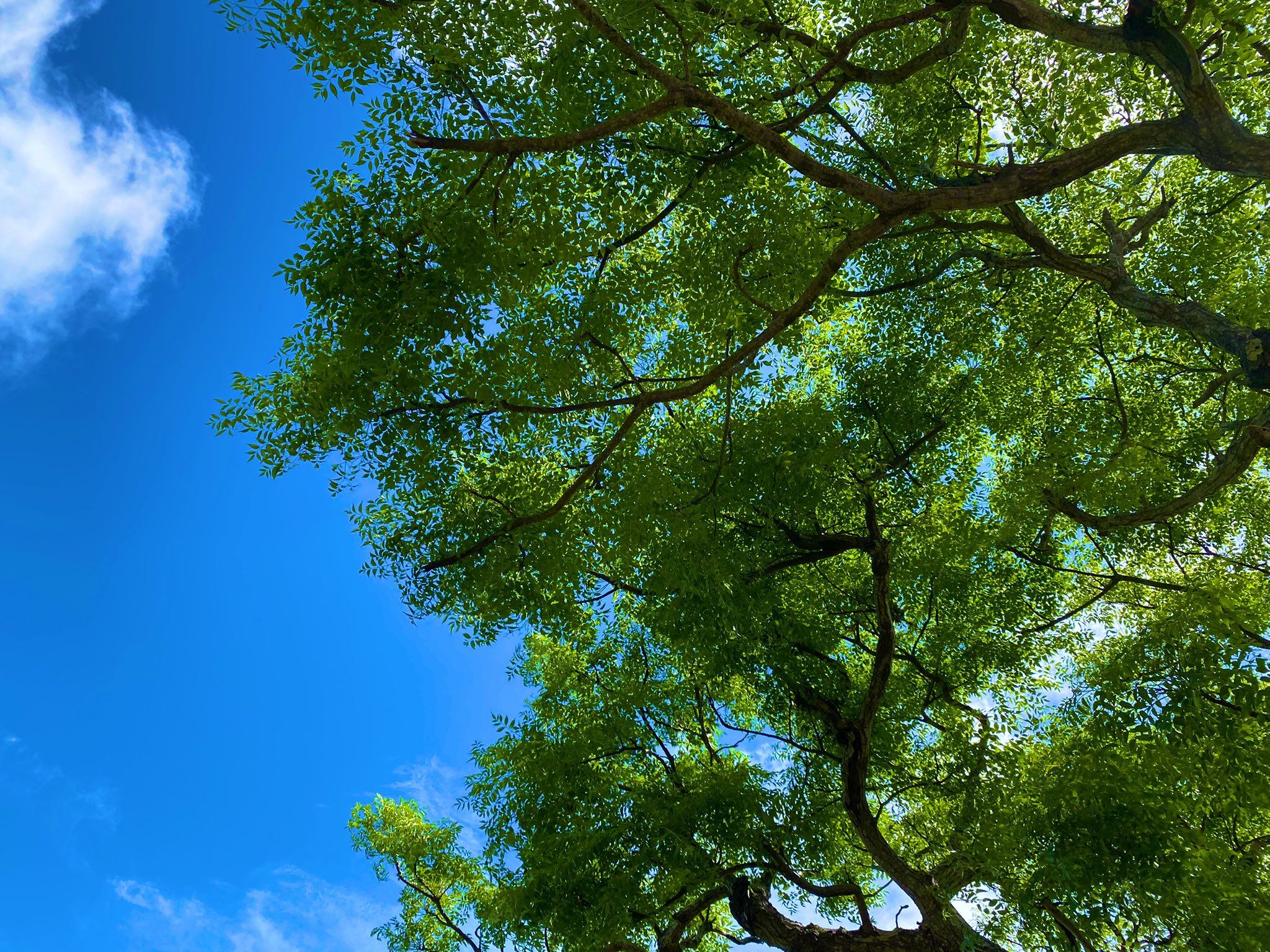 Makiko Kurata 奇跡を起こす方法 それは 自分も他人もどんな環境やどんな状況も24時間365日愛する事 奇跡を起こしていきましょう T Co Uoce3iywzd Twitter