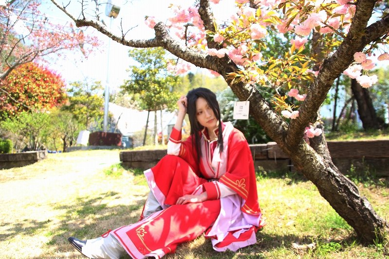 大阪府立花の文化園 植物園 公式 Gfc Osaka Twitter 大阪府立花の文化園 植物園 公式 Gfc Osaka Twitter