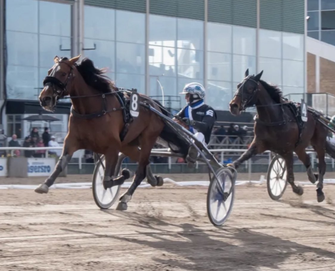 Stall Christoffer Eriksson tweet media