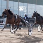 Photo by Stall Christoffer Eriksson (@StallCE)