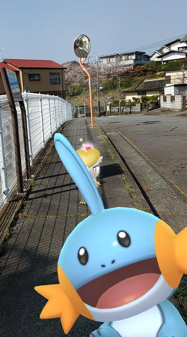 Hoshi Maumaushima Twitter