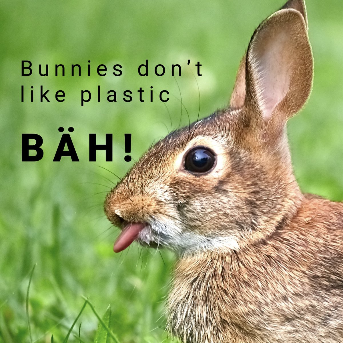 DeShavent's tweet photo. 𝐎𝐬𝐭𝐞𝐫𝐧 𝐨𝐡𝐧𝐞 𝐏𝐥𝐚𝐬𝐭𝐢𝐤? 𝐘𝐞𝐬 𝐩𝐥𝐞𝐚𝐬𝐞! 🤩 
Wir wollen ja den Osterhasen nicht verärgern oder? 😉 

Egal ob für Dich oder Deine Lieben: der SHAVENT ist eine Zier für jedes Osternest und eigentlich viel zu schön um ihn zu verstecken 😉 https://t.co/XvVGDsf6O3