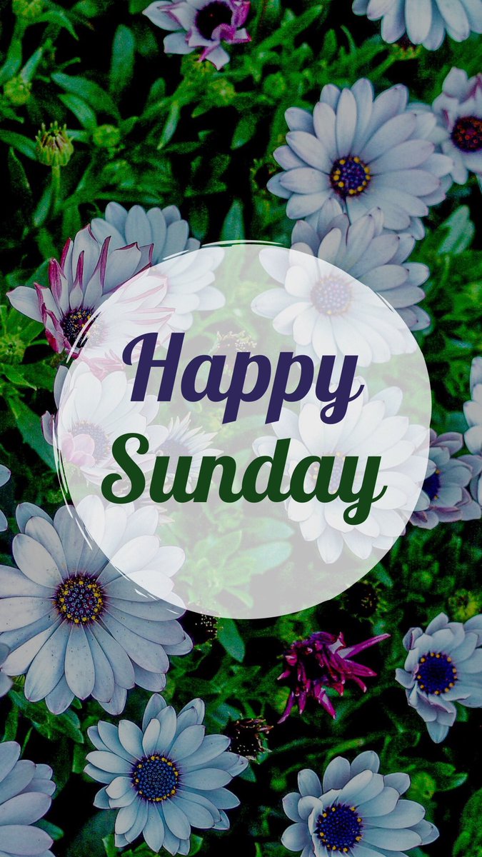 Palm Sunday in fact! #authorlife