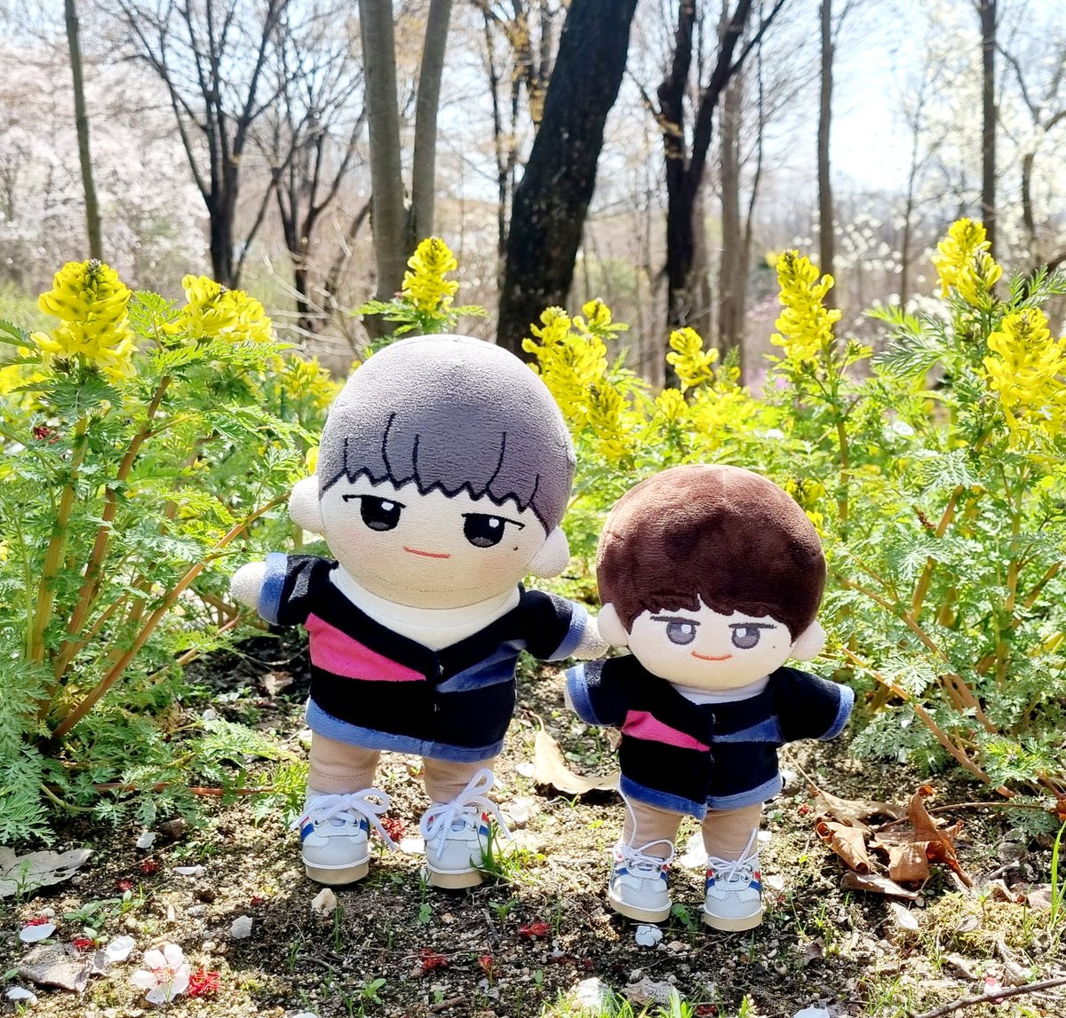 doll_hhs's tweet photo. 하옹이랑 현솜이랑 봄나들이🌸

#하현상 https://t.co/NFRsR6RGIq
