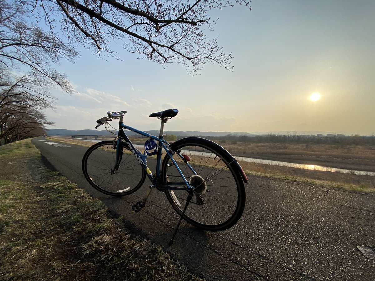 50Kitasan's tweet photo. クロスバイクの定番
GIANT escape-r3 
撮影の移動はいつも自転車
時々被写体として活躍しています。GIANTも先日値上げしたん��よね。コロナや戦争が早く終わって平和になって価格改定も落ち着いてくれるといいな。
#多摩川
#サイクリング 
#写真好きな人と繋がりたい https://t.co/dbp75NtGYQ