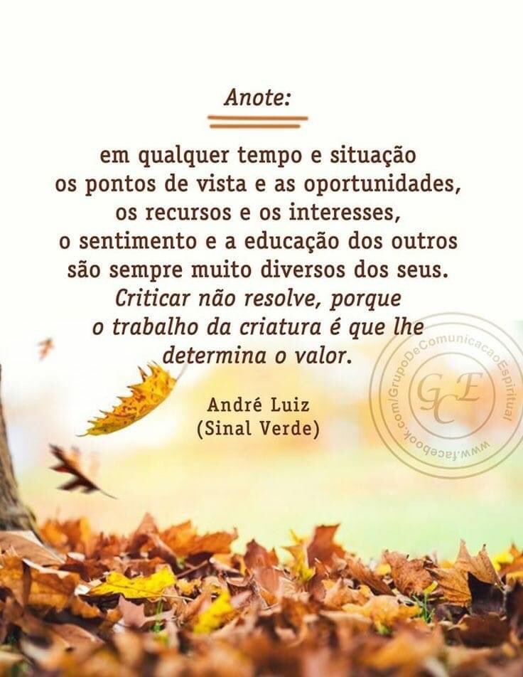 Alexandre Classmann (@aleclassmann) on Twitter photo 