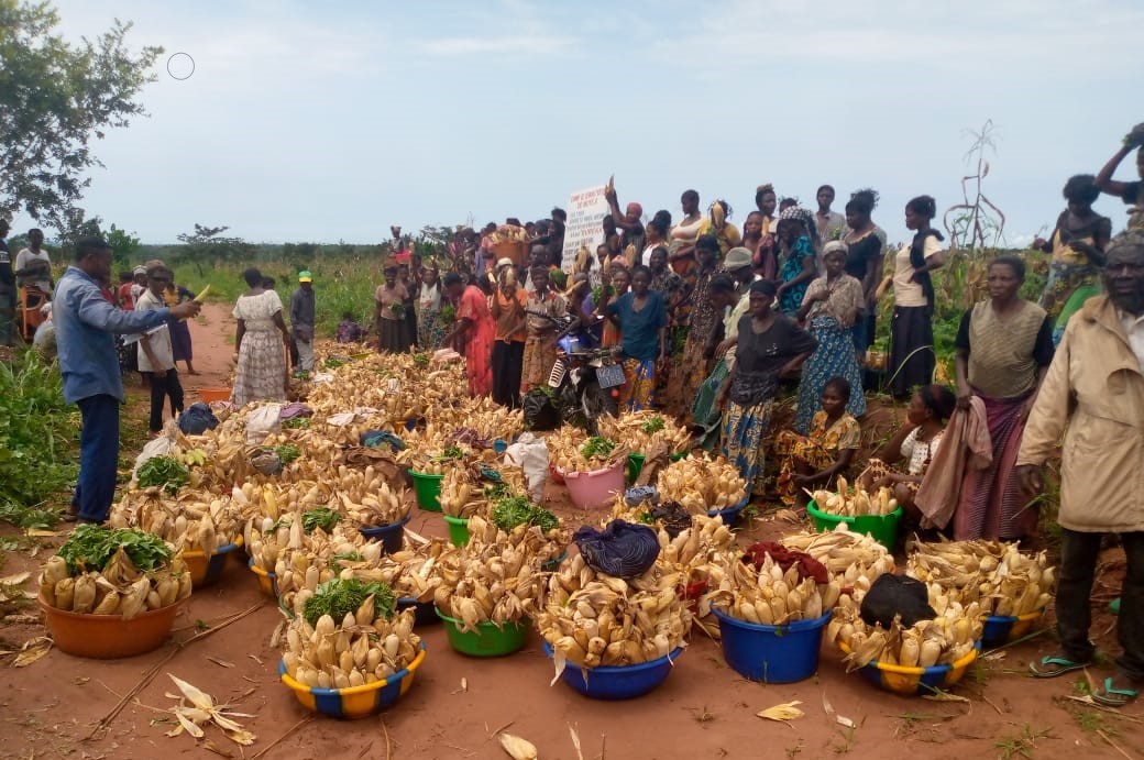 ADRA_DRC's tweet photo. #Kasai: “Building Recovery for Kasai” l’un de moyen pour la résilience de la population du kasai”..https://t.co/TaWoQQteGN https://t.co/WHb6SjaOaj