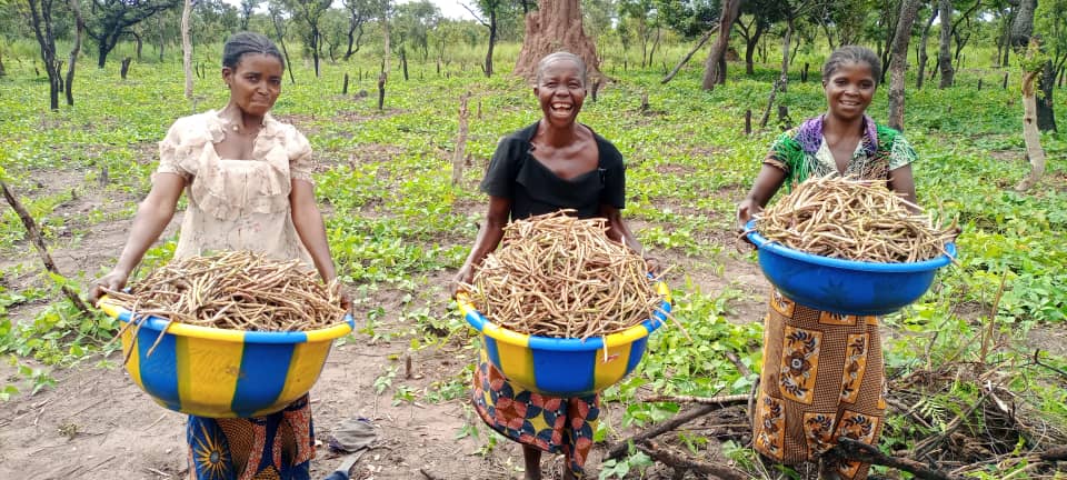 ADRA_DRC's tweet photo. #Kasai: “Building Recovery for Kasai” l’un de moyen pour la résilience de la population du kasai”..https://t.co/TaWoQQteGN https://t.co/WHb6SjaOaj