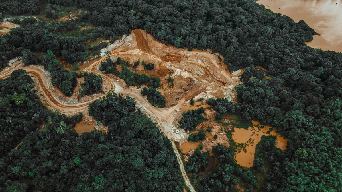 CCitizenship's tweet photo. In today's #sustainabilitynews
•Supermarket Iceland reverts to #palmoil as #Ukraine war hits food
•Scottish Widows #divests from #tobacco, tightens exclusions for #fossilfuels
•FSC-certified subsidiary linked to #Indigenous land #deforestation
https://t.co/R9A7VON4dH https://t.co/zfBx9vKwK3