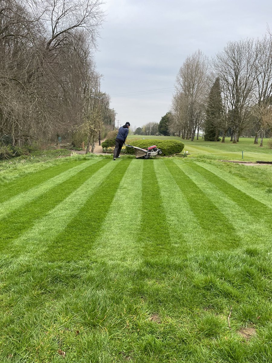 lansdowngreenk1's tweet photo. 5 weeks after turfing , she will be in play tomorrow 💪⛳️😎 https://t.co/4iFnaCg66R