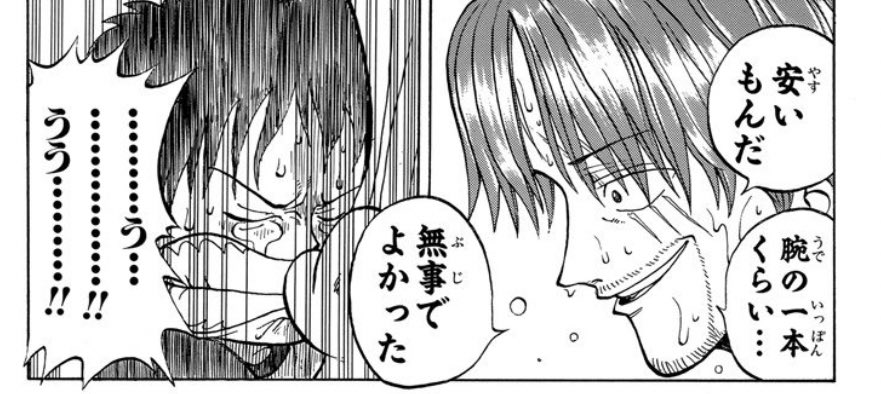 確かにゴムゴムの実に比べたら腕の一本くらい安いよな 