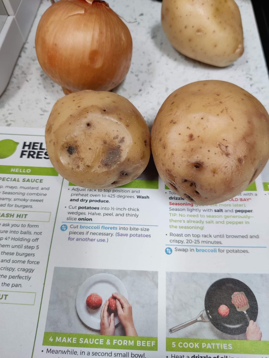 RMkims's tweet photo. @HelloFresh super damaged ingredients. Not sure if I should serve these. https://t.co/gLpjxjBbE2