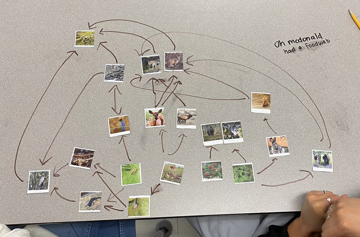 “You really want us to write on the desks?”  Yes!Engagement comes in multiple ways and sometimes you break the rules.  Creating food webs in Biology. <a href="/edgewood_isd/">Edgewood_ISD</a>