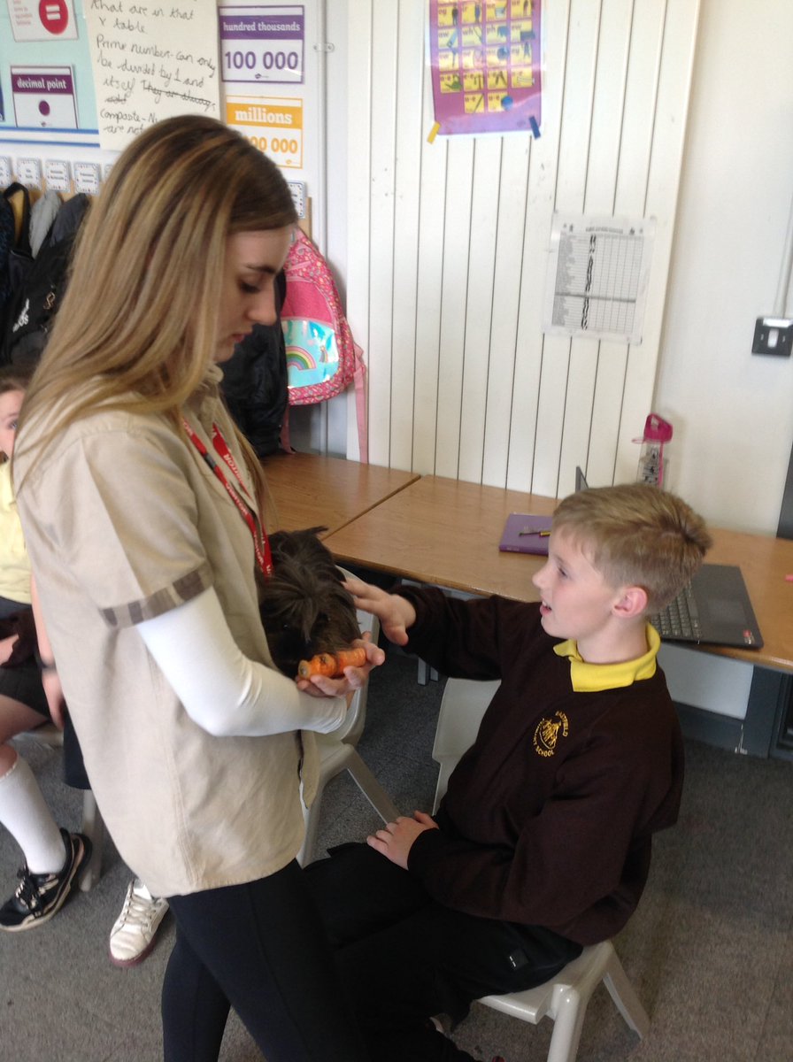 Eastfield Primary School tweet media