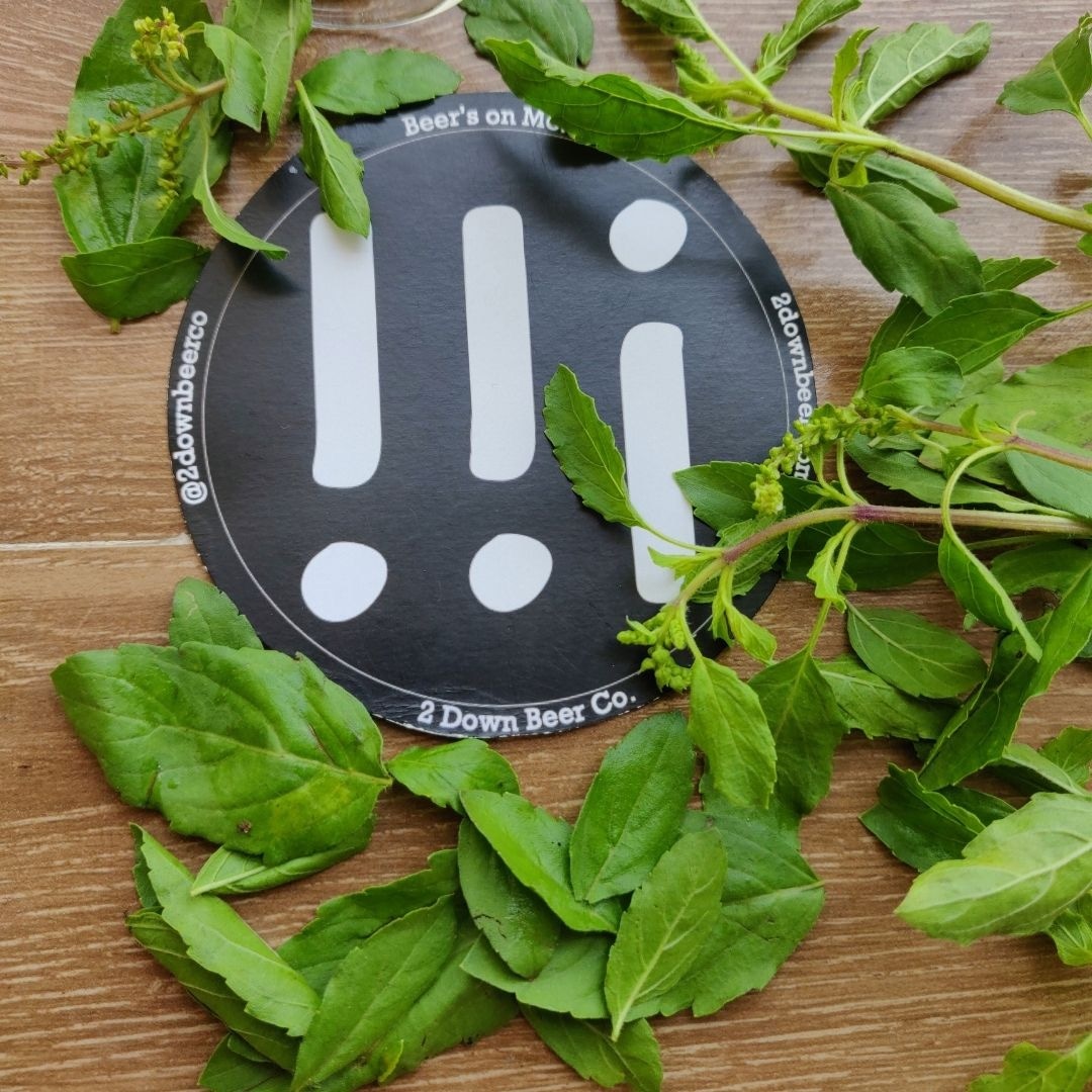 Basil, Beer &amp; Blondes. The fun begins when they all get together. Award-winning &amp; highly sessionable, the fresh basil beautifully complements the malt character. Basil Blonde from <a href="/2downbeerco/">2downbeerco</a> at the #AllStarsTapTakeover. 8th,9th,10th April, Doolally Khar. Free entry. #MhCraft