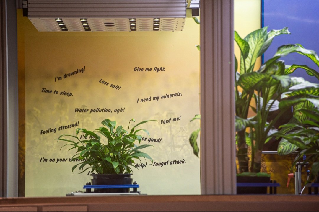 We are proud to announce that the We Speak Plantish exhibit has been selected by the organizers of the World Exhibition EXPO 2020 in the TOP 20 technologies and innovations at @expo2020dubai !
<a href="/CEITEC_Brno/">CEITEC</a>