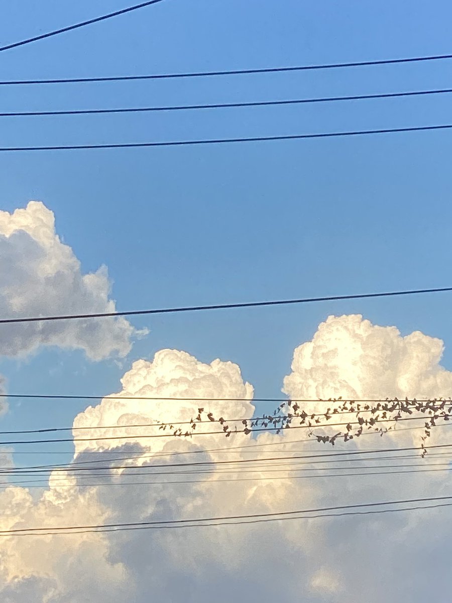 เบบี๋เป้อ ✿ (@bellocutieneper) on Twitter photo 