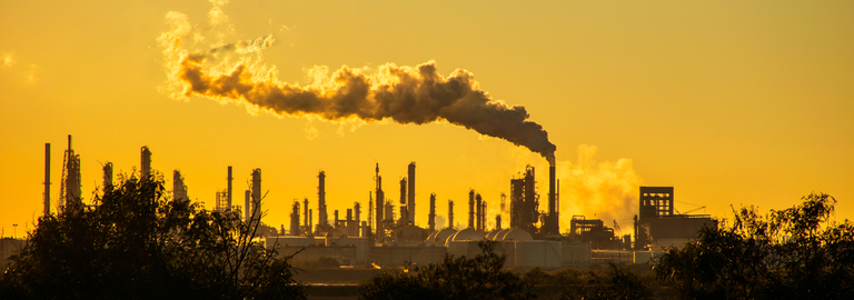 AliceCastleLtd's tweet photo. 13 industry bodies representing over 2.5 million professional accountants and students worldwide, have made a commitment to helping the #Accounting industry reach #NetZero emissions, writes @AccountancyAge: 
https://t.co/zP2IO1a3cG https://t.co/vVYGjtkk7Q