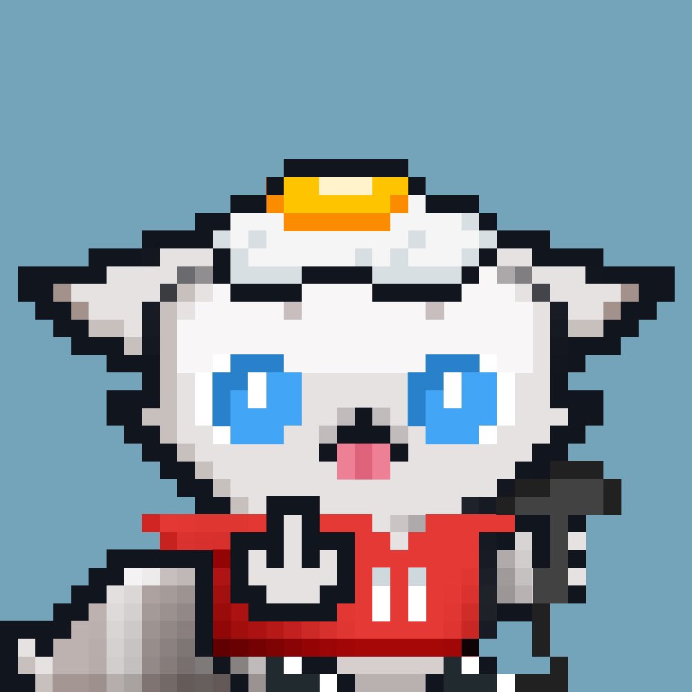 REBEL RACOONS (SOLD OUT) tweet media