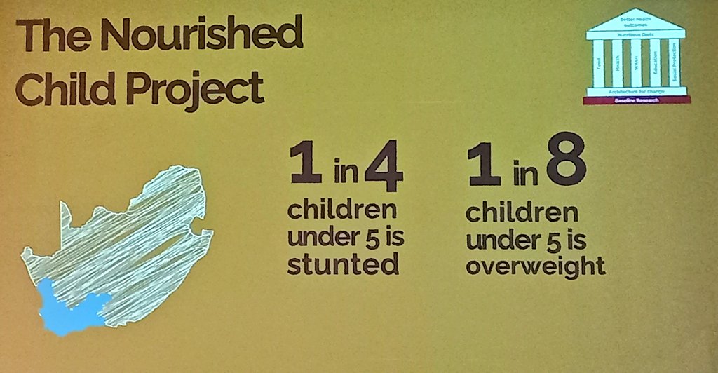 FoodSecurity_za's tweet photo. Dr Johnson shares one of the related @UNICEF projects, The Nourished Child Project, which focuses on the Western Cape and improving the diets of women and children under five. #FoodSAMSA https://t.co/kg0EqySaz1
