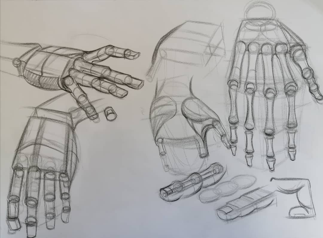 Anatomy Art School Anatomy Drawing Course, 46 OFF