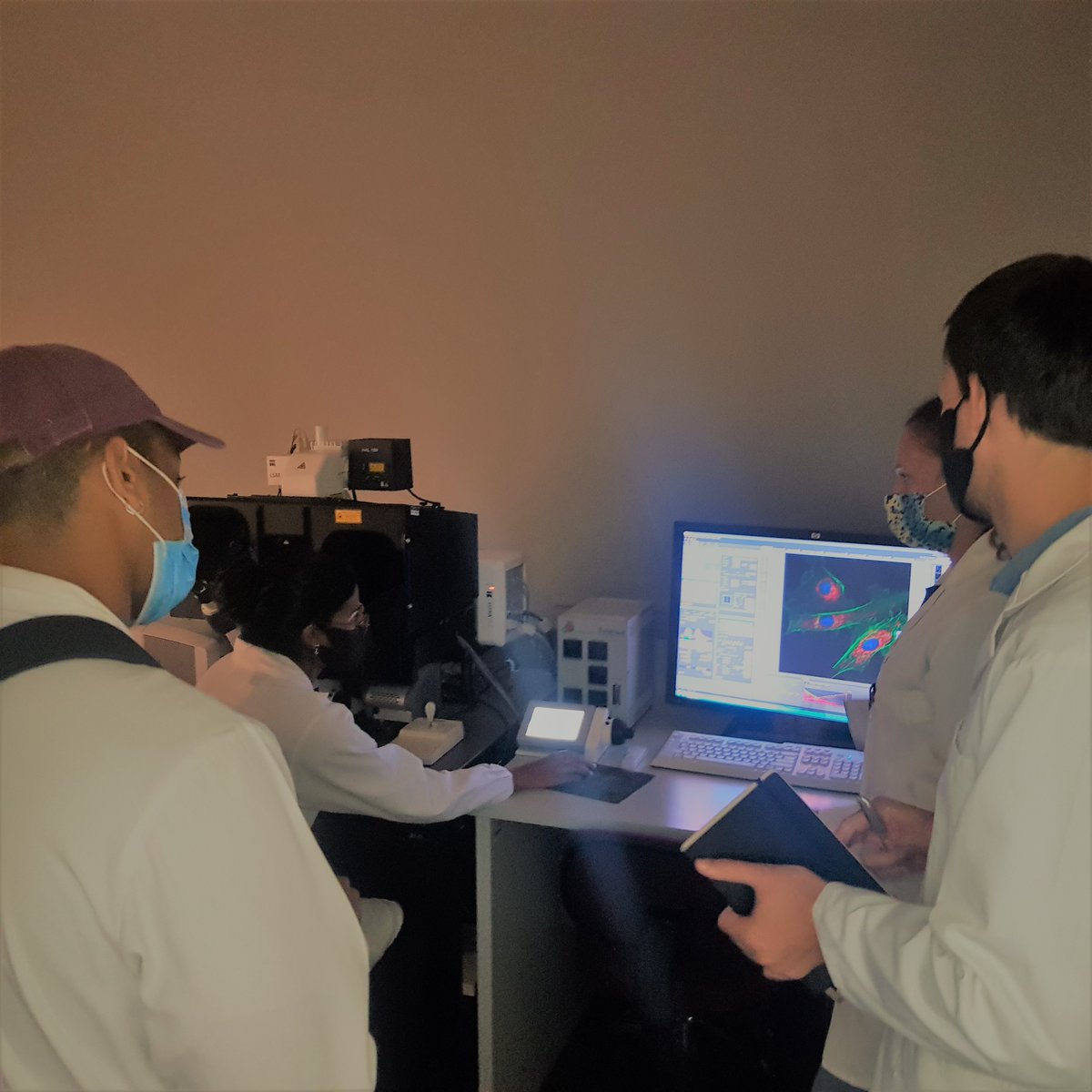 Central Analytical Facilities Stellenbosch tweet media