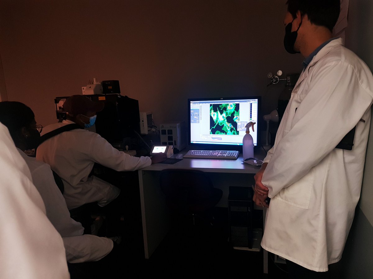 Central Analytical Facilities Stellenbosch tweet media