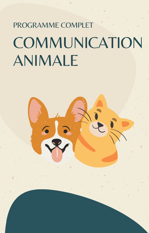 La communication animale vous aidera à comprendre vos animaux et la relation privilégiée qu’ils ont avec vous. Vous voulez savoir ce que pense votre animal, résoudre des problèmes comportementaux ou émotionnels jchautard5.wixsite.com/communication-…
#animal #communication #formation #digital