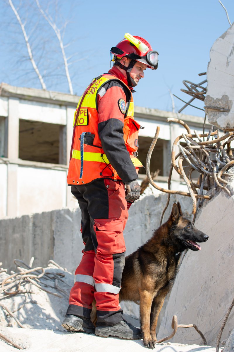 sdis67's tweet photo. Les #Pompiers67 spécialistes en sauvetage-déblaiement ont réalisé une manœuvre avec recherche de victimes à Schiltigheim avec la participation de David et de son chien Ryder, dans le cadre de sa formation #Cyno, ainsi que du conseiller technique zonal cyno, l’adc Tambuzzo. https://t.co/5QuVrhPzUb