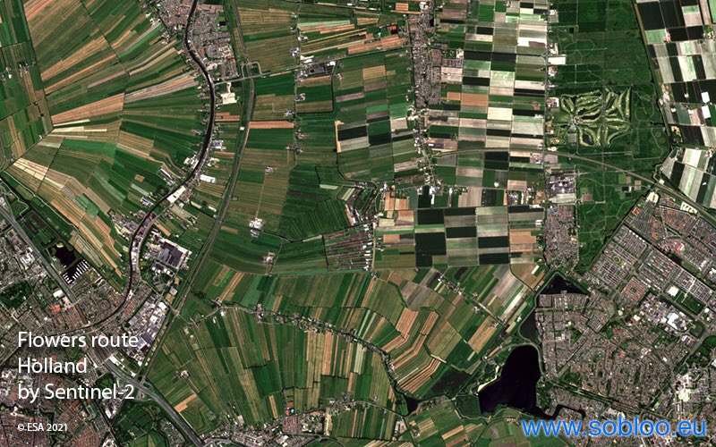 soblooservices's tweet photo. Flowers route, Holland 🌷 No bends or hills but fields of multicolored flowers on the 40 km road between Haarlem and Naaldwijk, the main place of flower bulbs exported to the gardens all over the world. 
Sentinel-2 Data available from https://t.co/RCu2qxqrqu
@CopernicusEU @ESA_ https://t.co/qJNDyHICr5