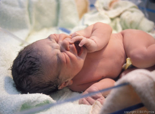 39 недель беременности фото плода. Доношенный новорожденный ребенок это. Опущение живота на 39 неделе. 39 неделя крупный плод. 40 неделя беременности матка.