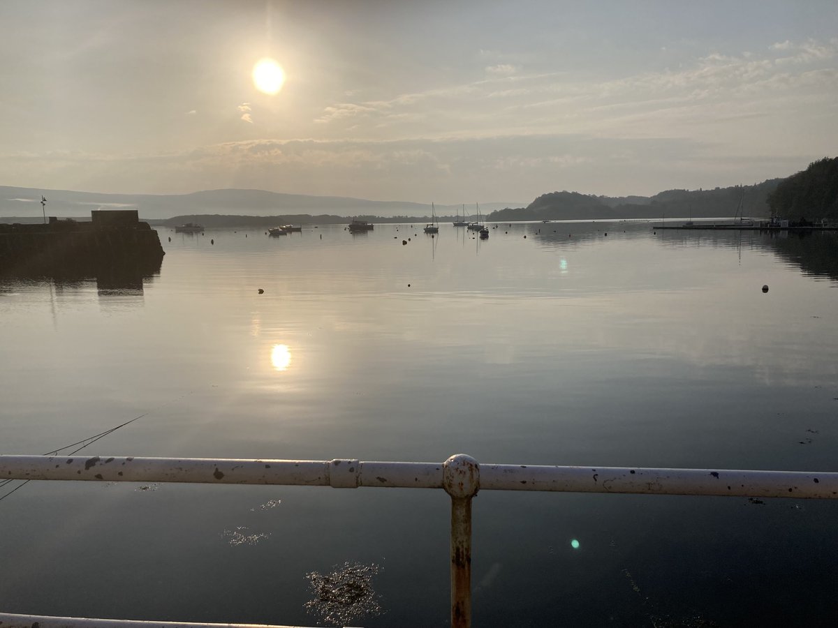 Alison MacRobbie tweet media