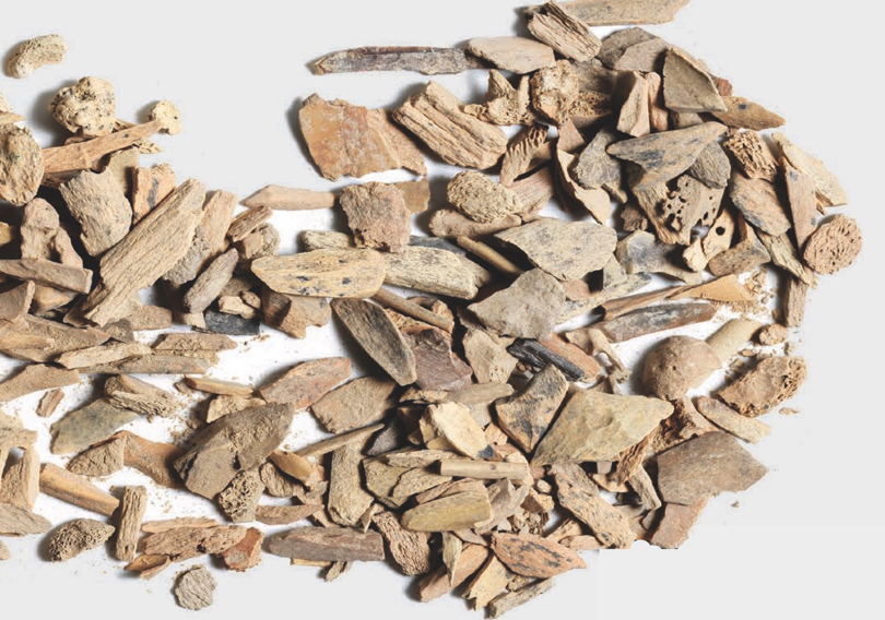 tommyhigham's tweet image. We used ZooMS with @PalaeoTwit to discover Denny and other hominin remains from Denisova Cave. We can&apos;t wait to get the lab up and running to do more fun science! Contact @Katerina__Douka to discuss collaborations and ideas! Thanks to #Finder_Project @ERC_Research and @univienna