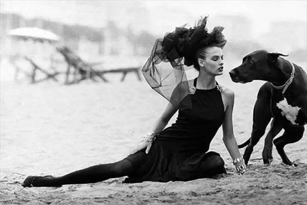 Black Dog

© Linda Evangelista by Peter Lindbergh,  Italian Vogue, 1986
